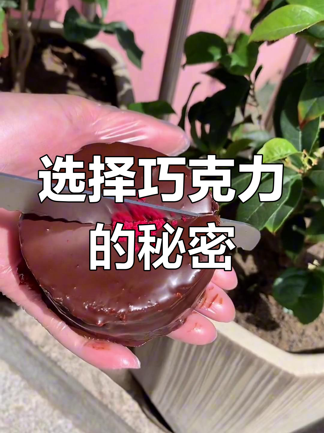 巧克力颜色越黑越好?不,棕色才是王道!