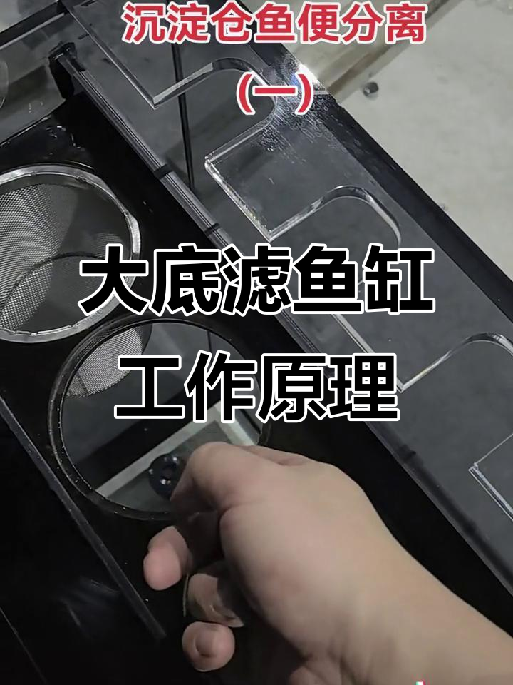 鱼缸沉淀仓设计揭秘：如何高效分离鱼便与杂质