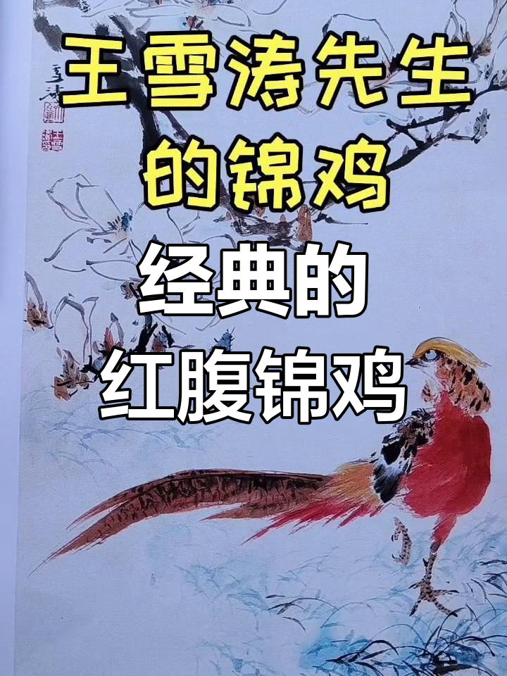 王雪涛先生笔下的红腹锦鸡