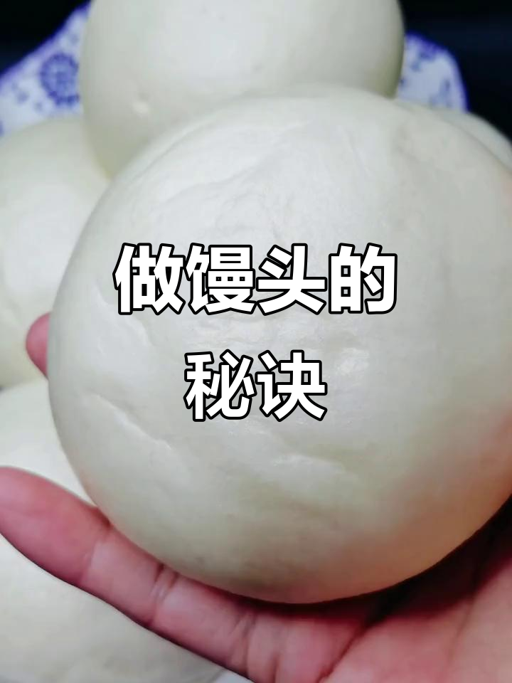 500克面粉,酵母白糖温水混合,轻松做馒头!