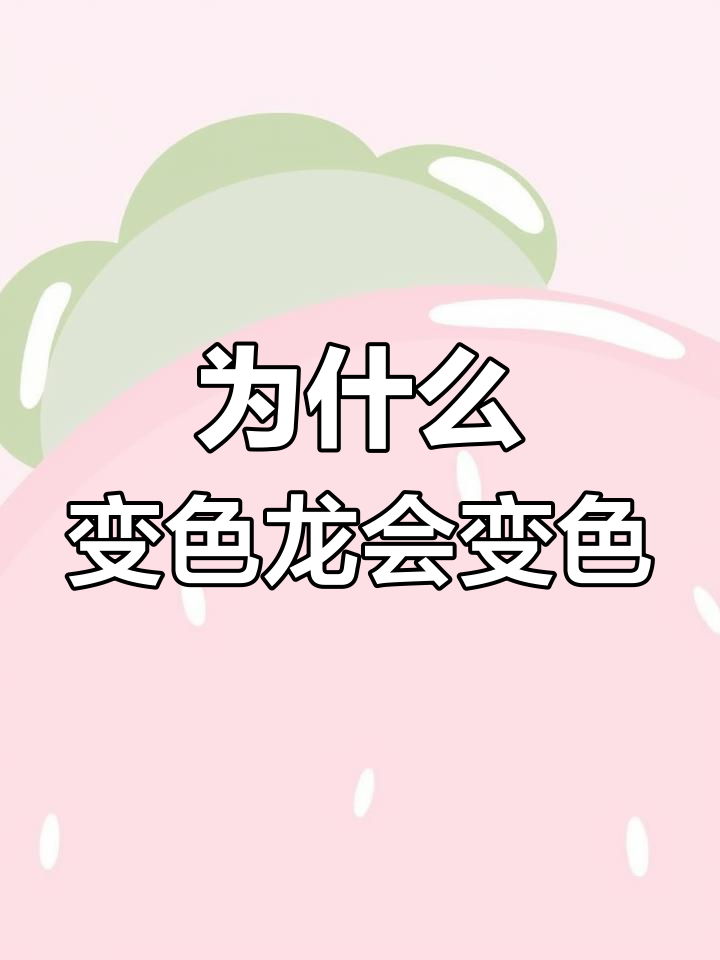 变色龙变色背后的秘密:心情、交流还是保护?
