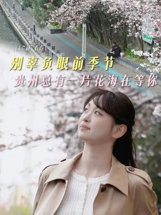 走“静”看看 别辜负眼前季节 贵州总有一片花海在等你 #贵州 #春山爽居花海畅游