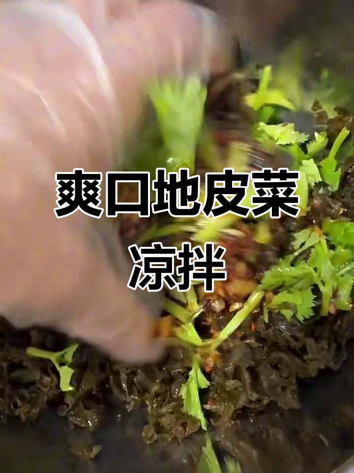 地皮菜凉拌新做法,简单又美味