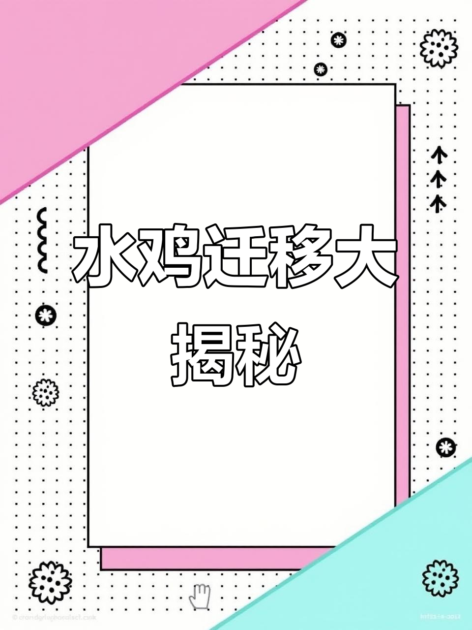 广东现罕见青嘴水鸡,迁徙大军震撼登场!