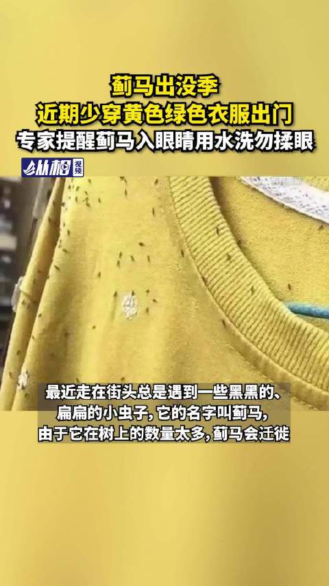 「蓟马出没季,近期少穿黄色绿色衣服出门,专家提醒蓟马入眼睛用水洗勿揉眼」建议春夏少穿黄绿色