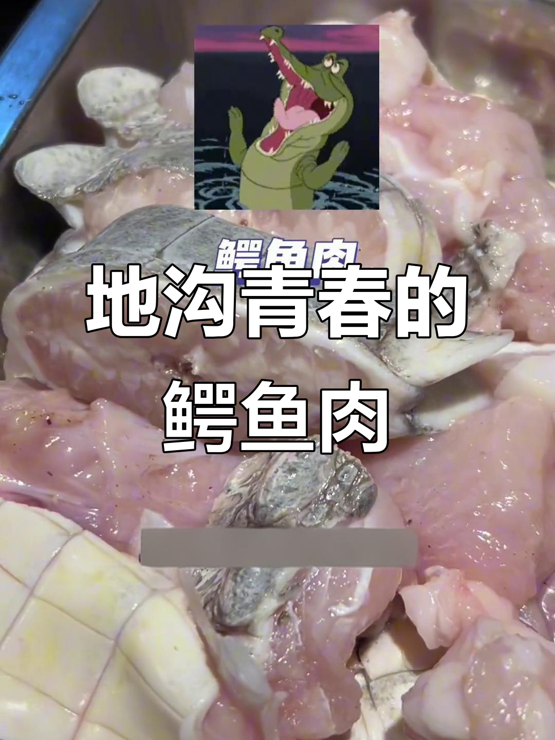 宁波地锅青春土灶台,鳄鱼肉套餐来袭!