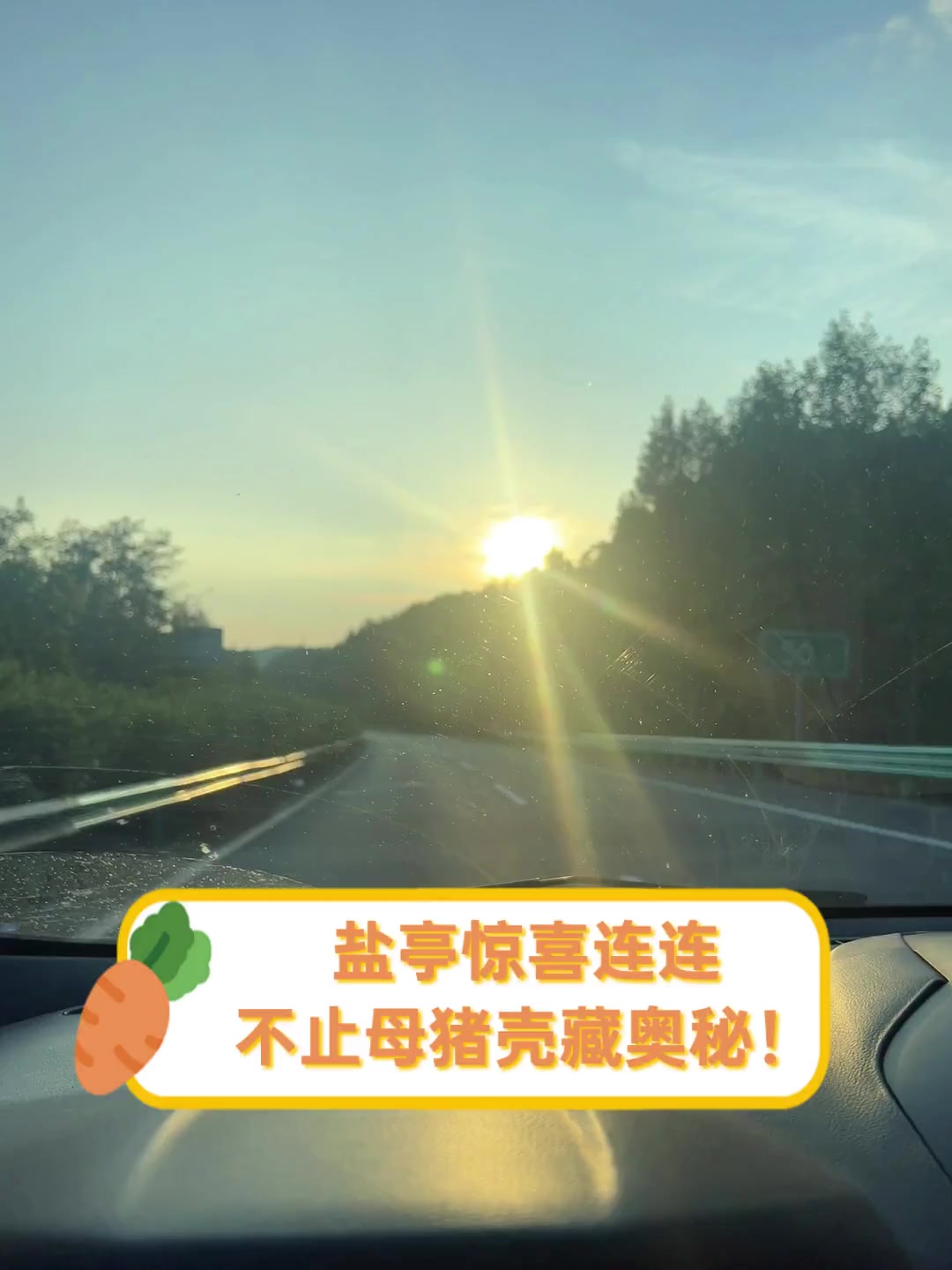 盐亭惊喜连连,不止母猪壳藏奥秘!