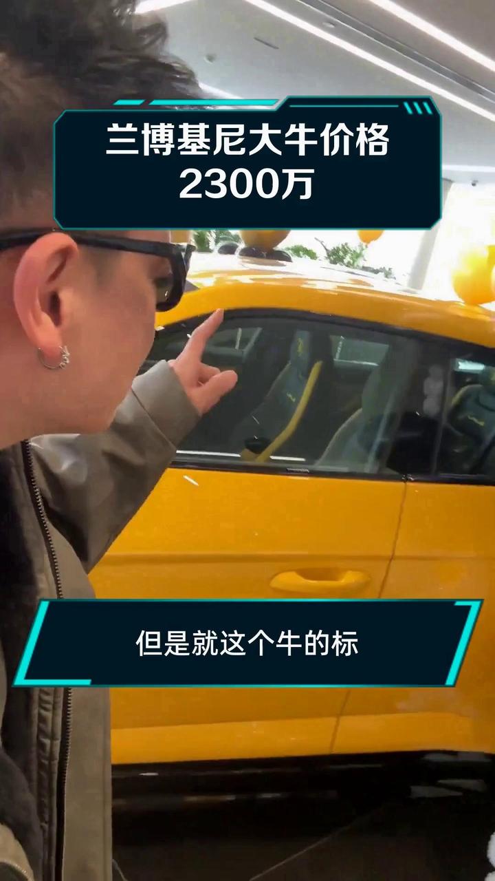 兰博基尼大牛价格2300万