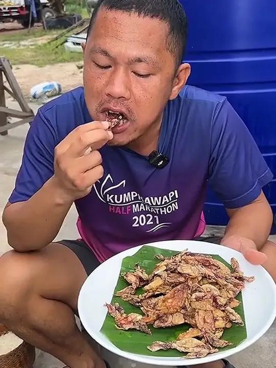 香米饭团油炸干鱿鱼片 泰国美食泰国生美食美食户外美食