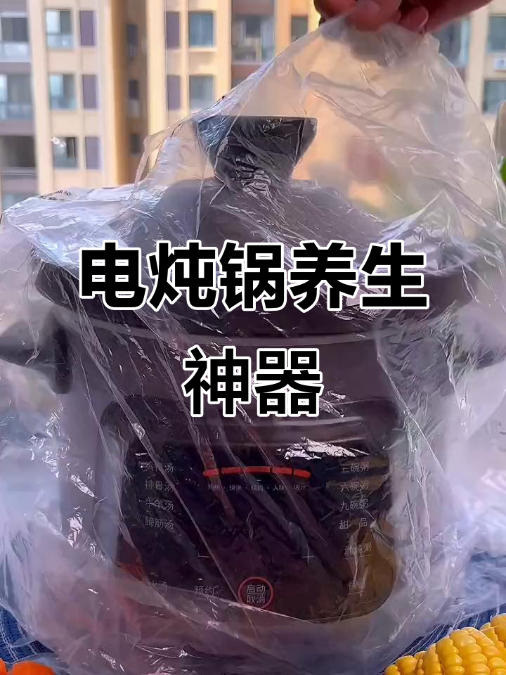 九阳电炖锅,紫砂陶瓷煲汤煮粥,养生必备