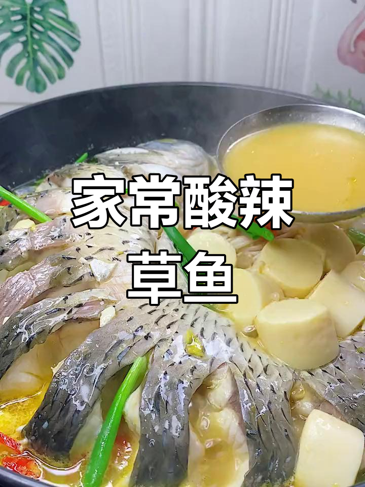 酸辣草鱼炖汤,简单又美味!