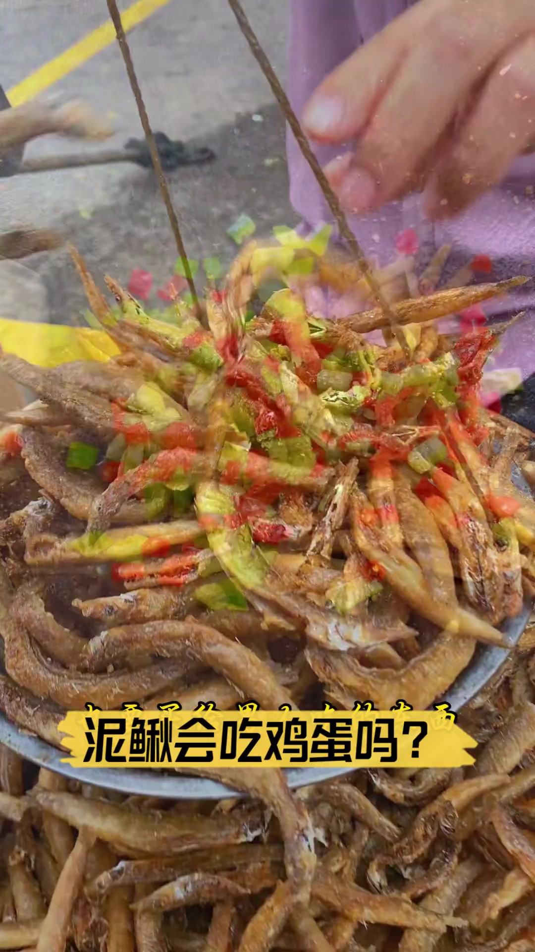 泥鳅会吃鸡蛋吗?