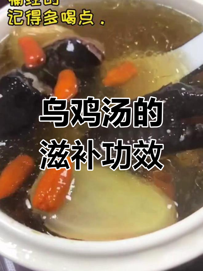乌鸡汤能补气血,改善月经量少、宫寒问题