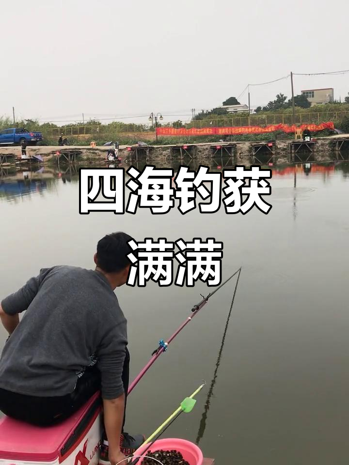 今天四海钓鱼正常进行,收获满满