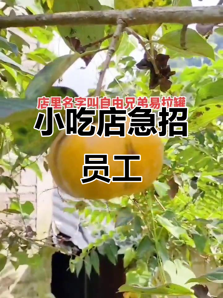 兴义公园小吃店招聘，砂锅饭、炒茶等岗位等你来挑战