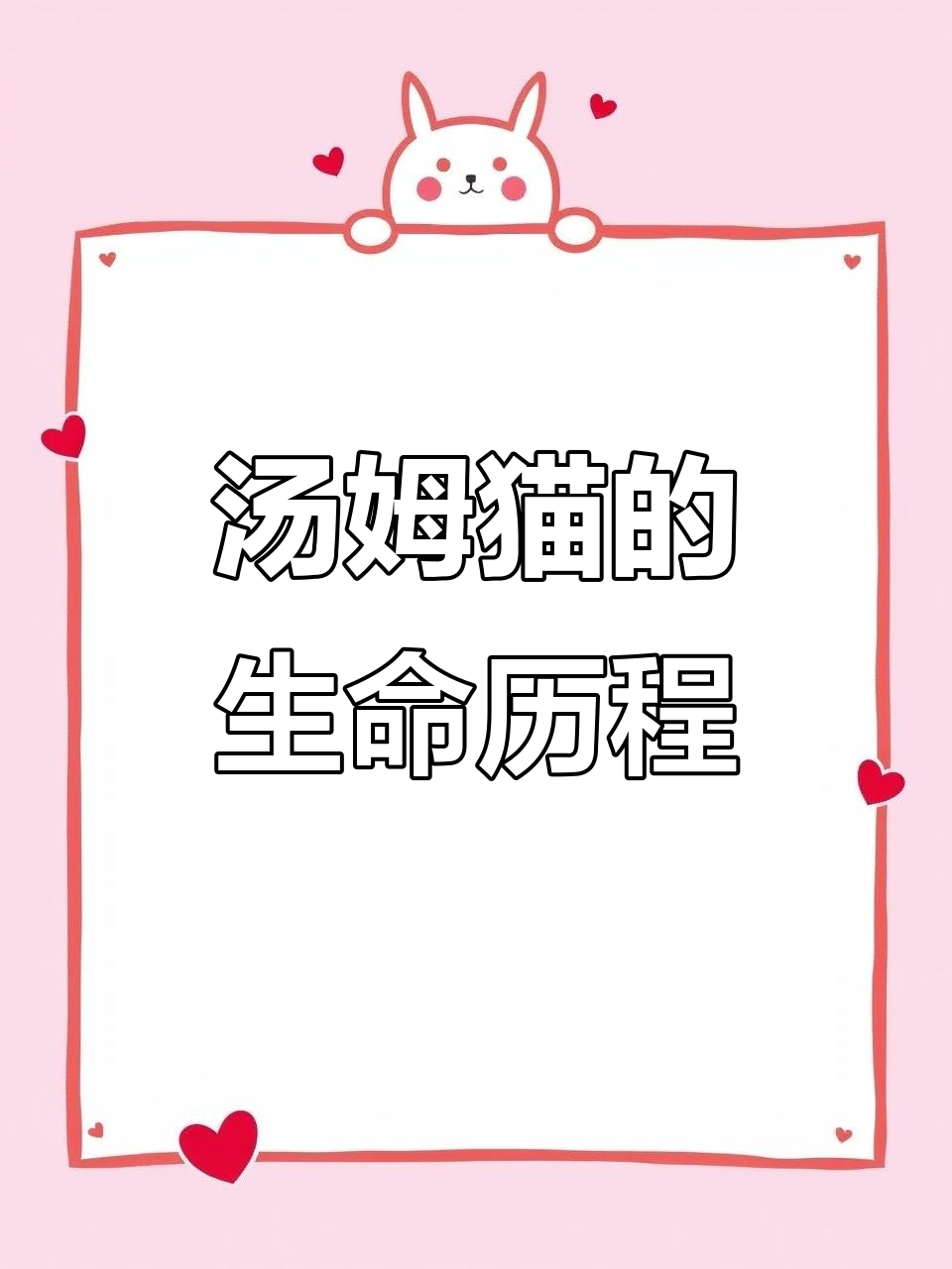 汤姆猫的一生：从跑酷新手到丧尸的转变