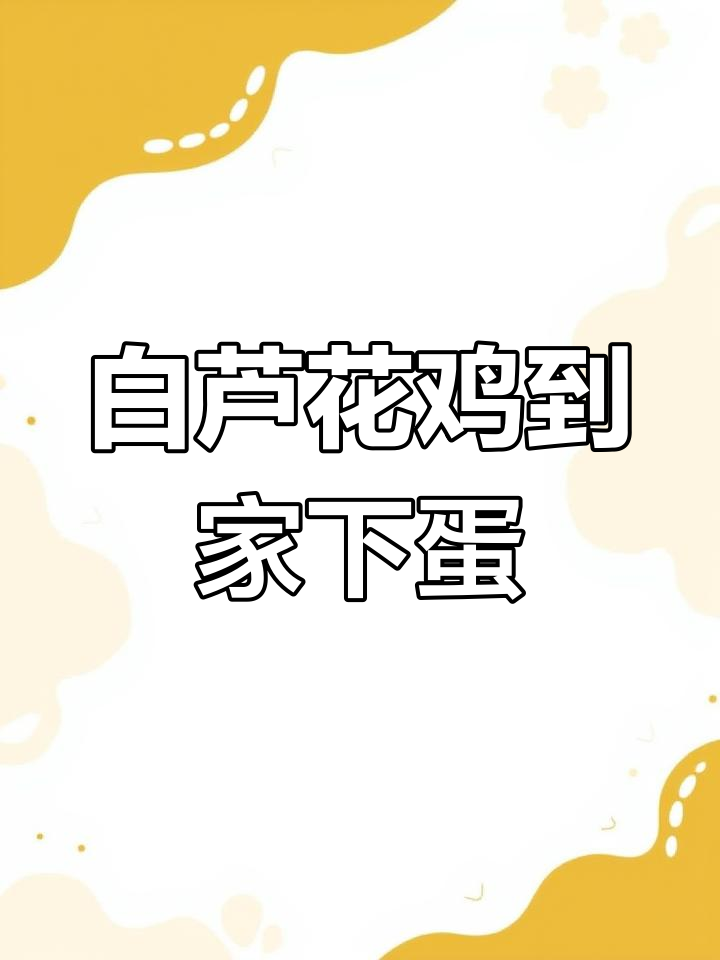 网购白芦花鸡,快递直达乡镇,下蛋能力超乎想象