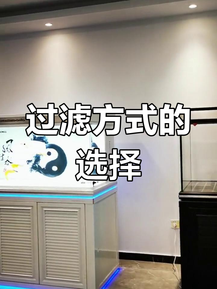 四角与侧溢流效果相同,选择取决于鱼缸布局