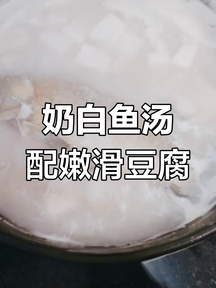 冬季暖汤:鲜鱼豆腐搭配