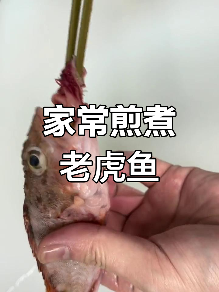 岩头老虎鱼的家常做法,简单美味又下饭