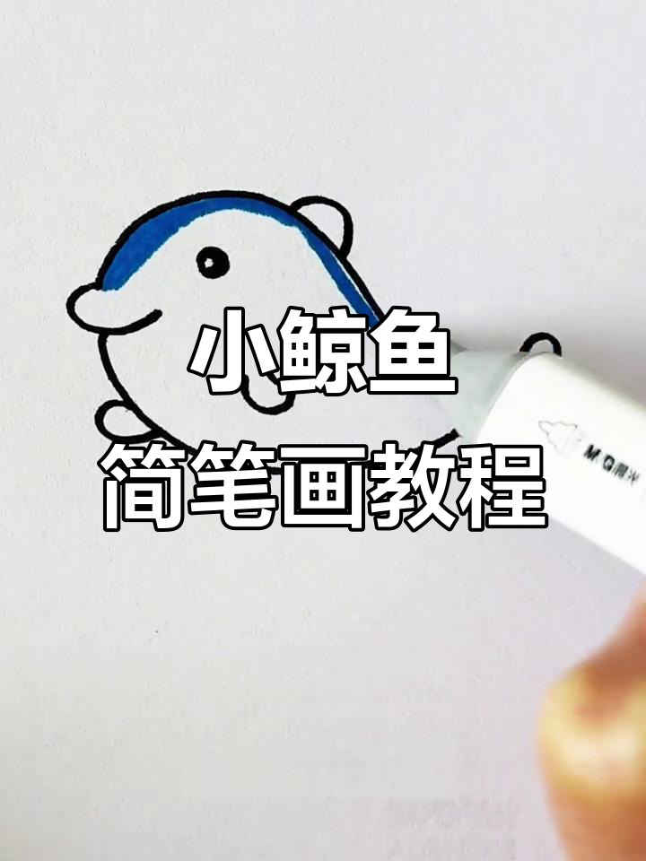 轻松学画小鲸鱼,简单步骤教你搞定