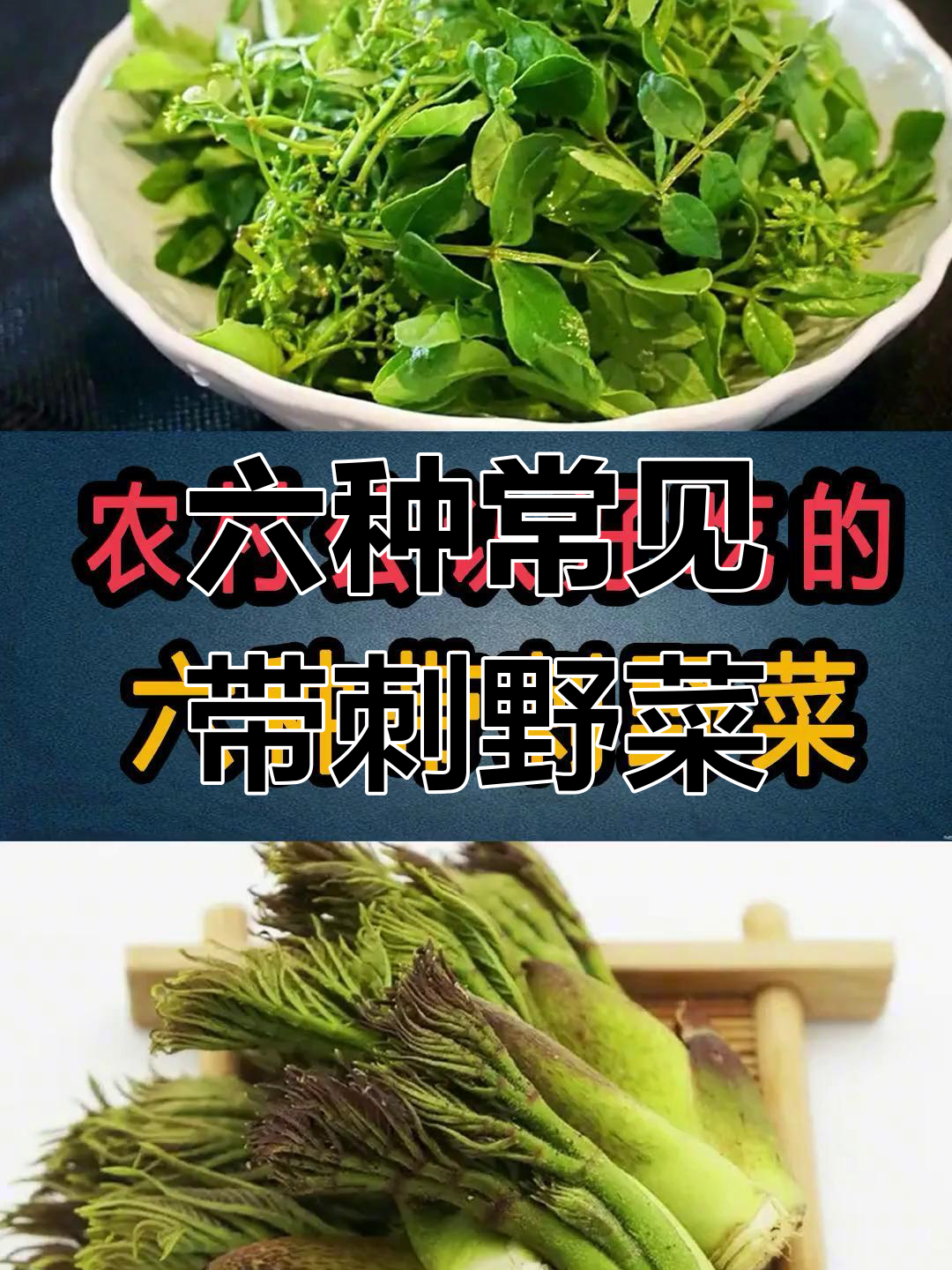 农村六大带刺野菜,营养丰富又美味