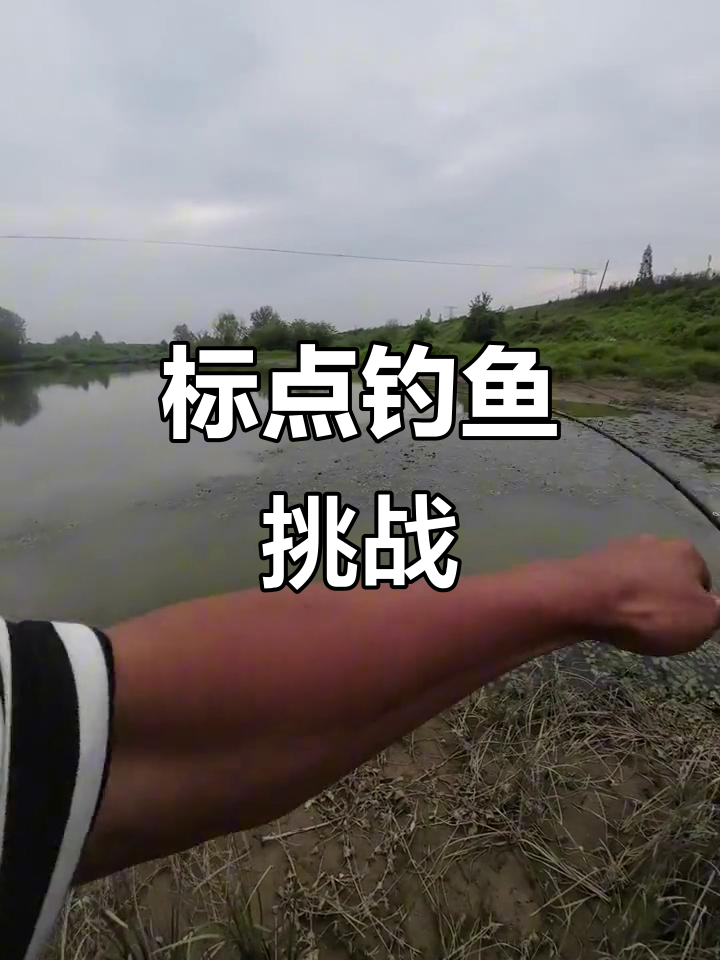 每天不同标点符号钓大鱼,战歌起!