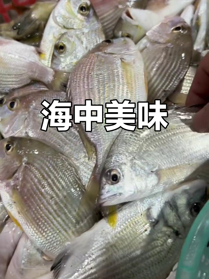 香头鱼鲜美嫩滑,无刺口感绝佳