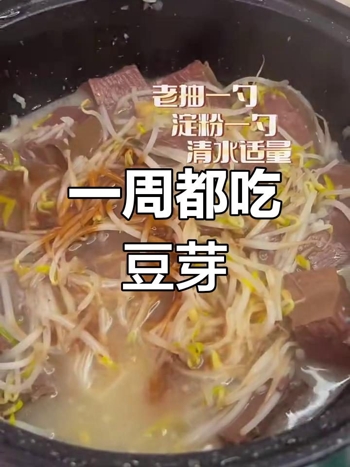 连续一周吃豆芽,鸭血煮法大揭秘