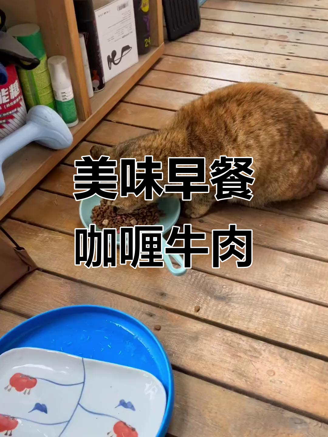 早餐吃咖喱牛肉,萝卜小菜和辣椒搭配最爽口