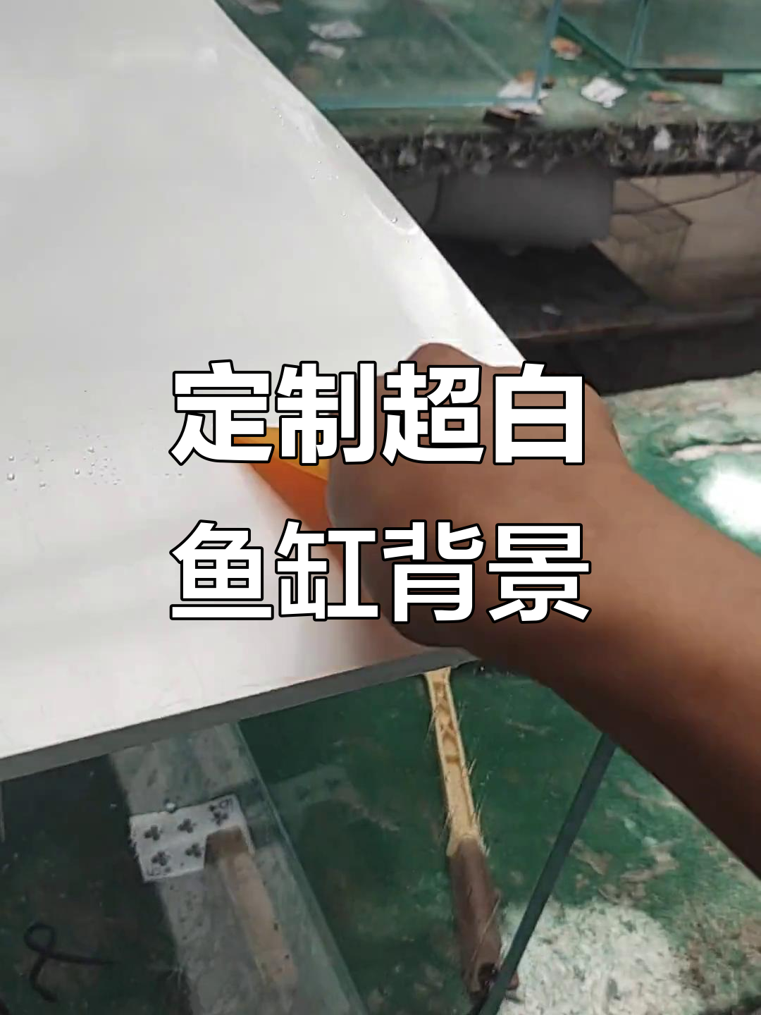 超白鱼缸背景纸制作技巧，轻松打造个性化水族环境