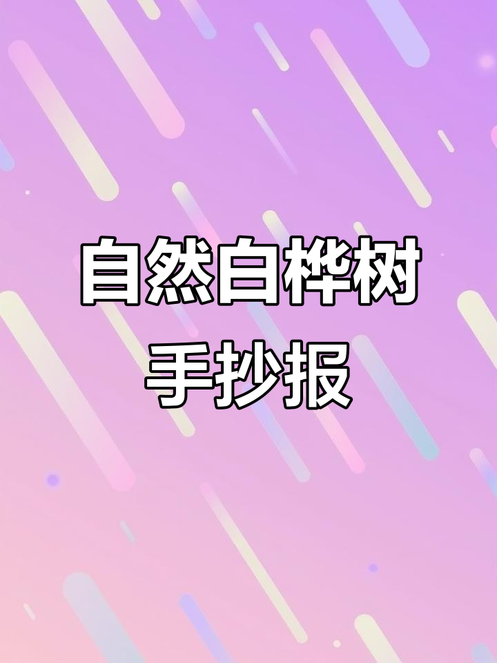 白桦树的自然笔记手抄报,轻松打印学习