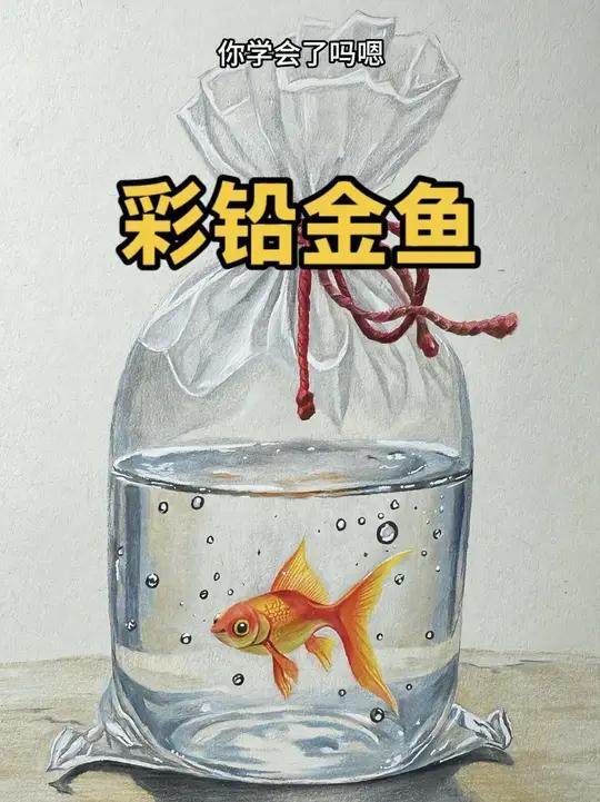 彩铅金鱼画法