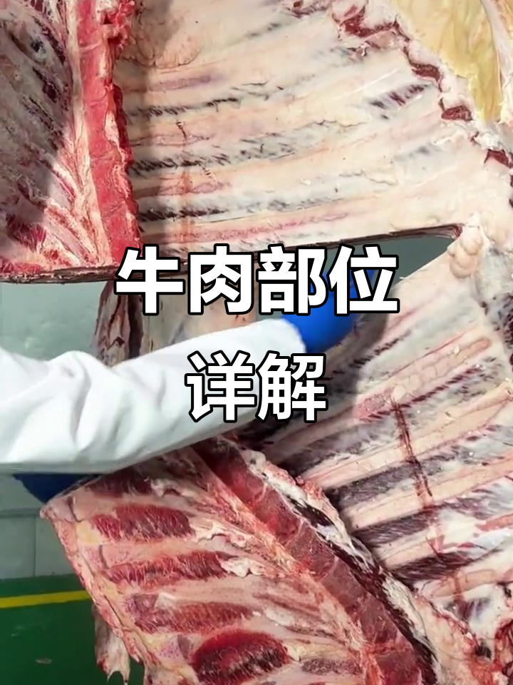 牛肉部位大揭秘，各部分口感与位置全解析！