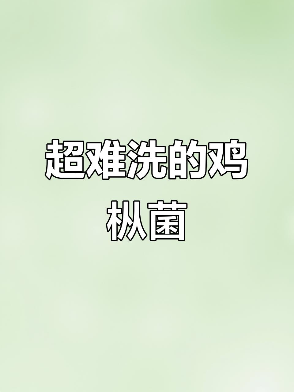 鸡枞菌：最鲜美的野生汤料，清洗难度堪比登天