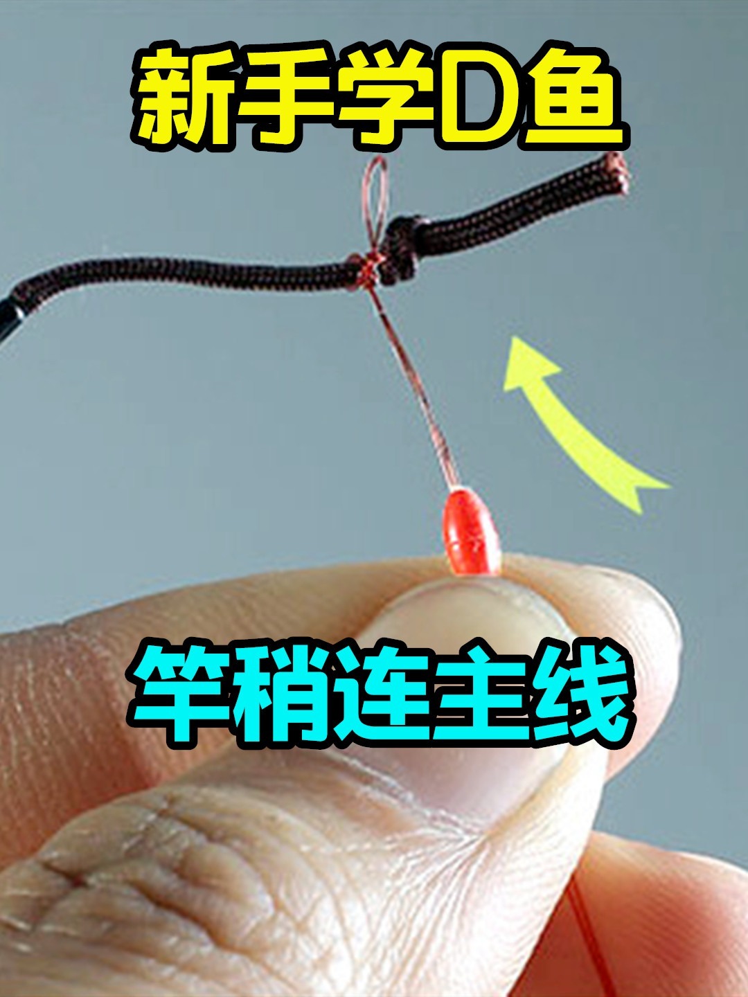 新手学钓鱼:竿稍如何连主线,千万别绑死结
