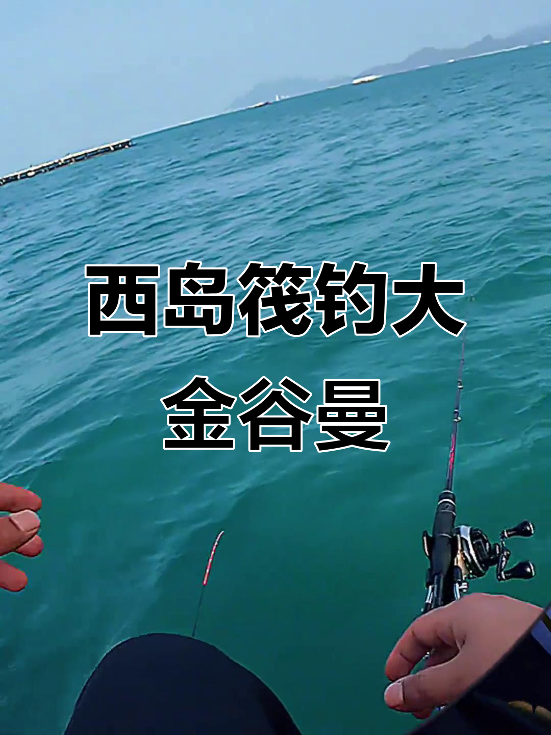 三亚西岛钓大金谷曼,手感堪比黑雕
