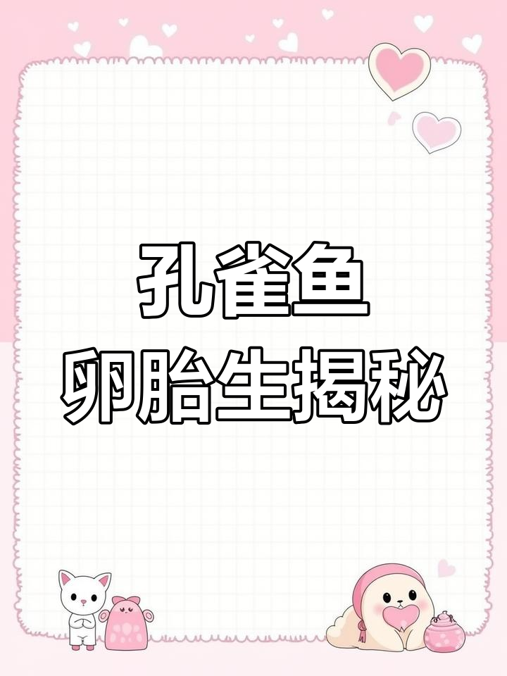 揭秘孔雀鱼的卵胎生过程,如何孕育新生命