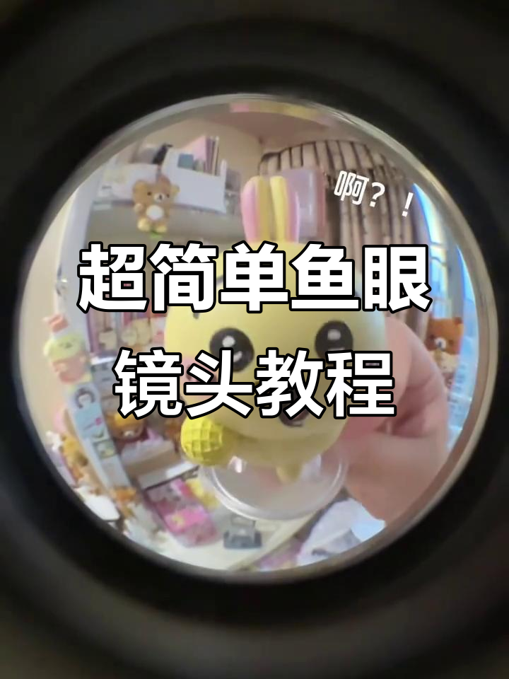 鱼眼镜头拍摄技巧大揭秘,轻松拍出超有趣效果