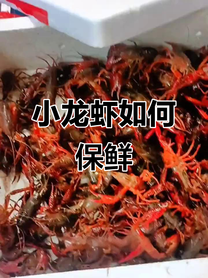 小龙虾保存技巧大揭秘,冷冻油炸都能行