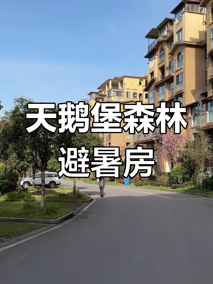 贵州避暑胜地天鹅堡,精装修别墅等你来体验