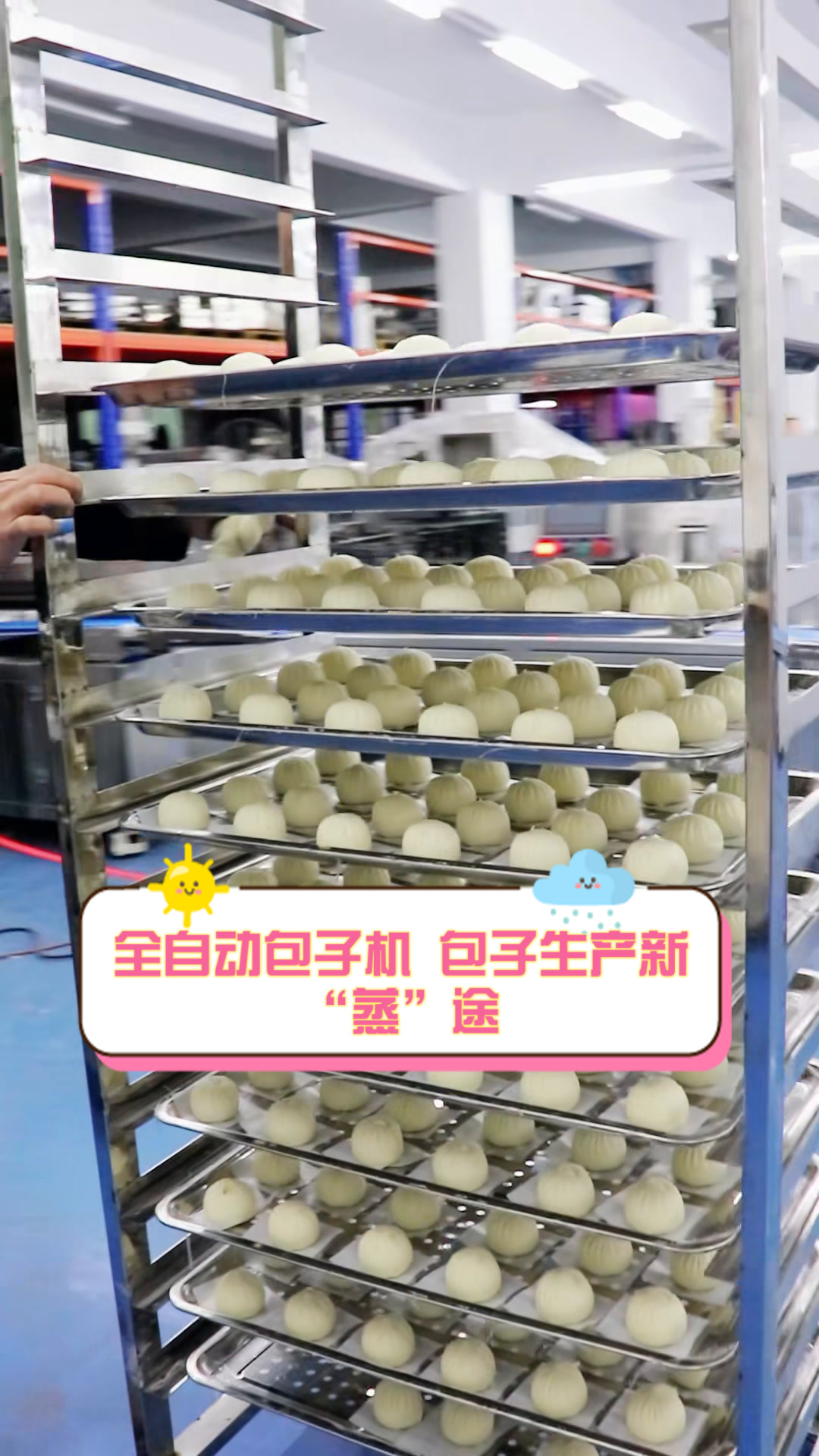全自动包子机,包子生产新“蒸”途