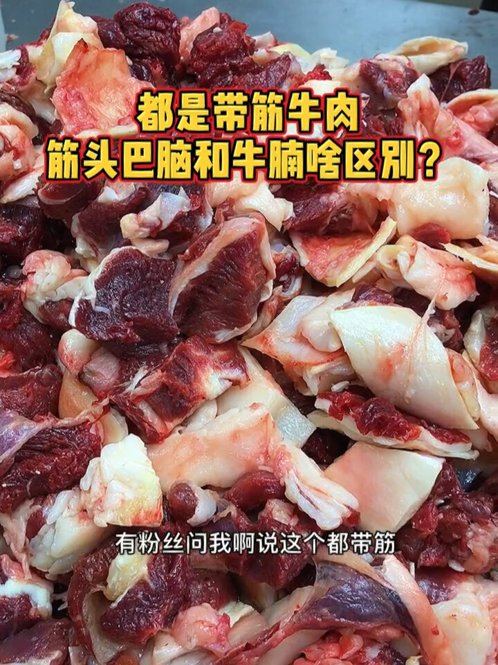 都是带筋的牛肉,筋头巴脑和牛腩有啥区别