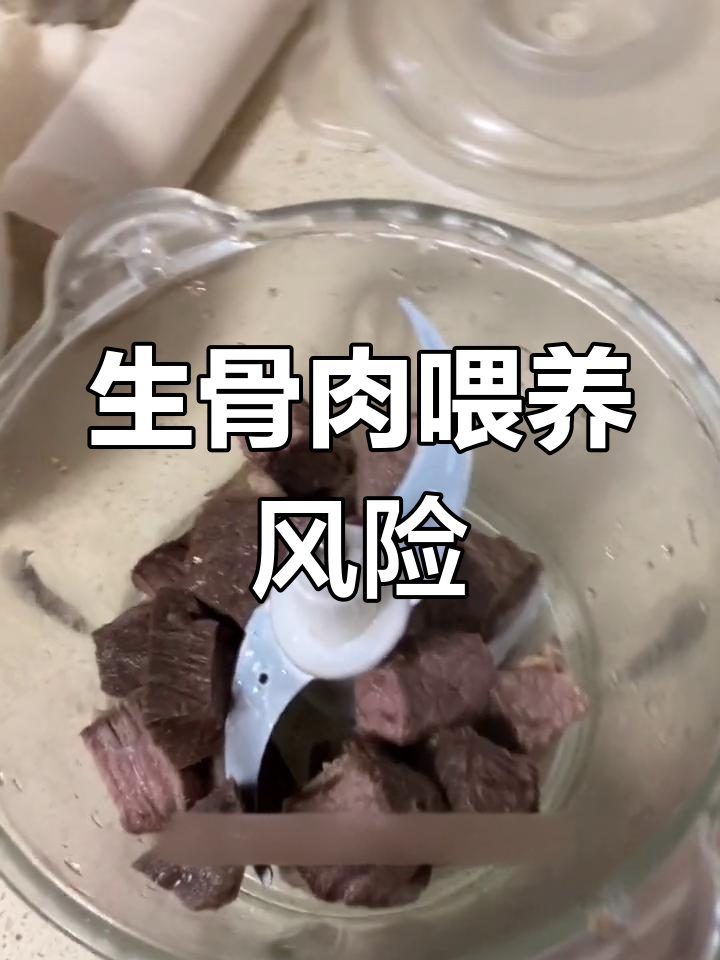 生骨肉喂养风险高,确保食材安全是关键