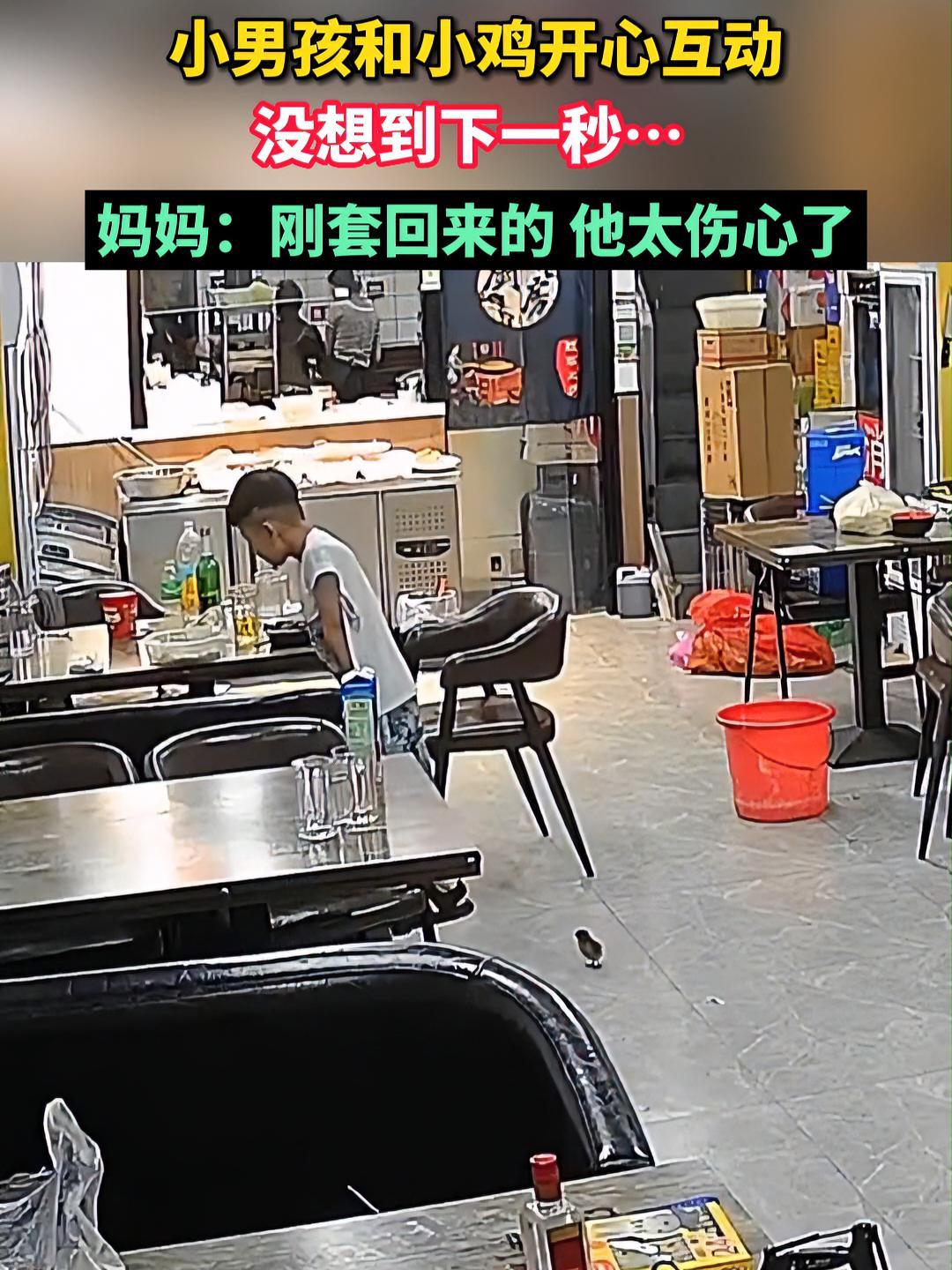 小男孩和小鸡开心互动 没想到下一秒……妈妈:刚套回来的 他太伤心了 万万没想到 搞笑视频 