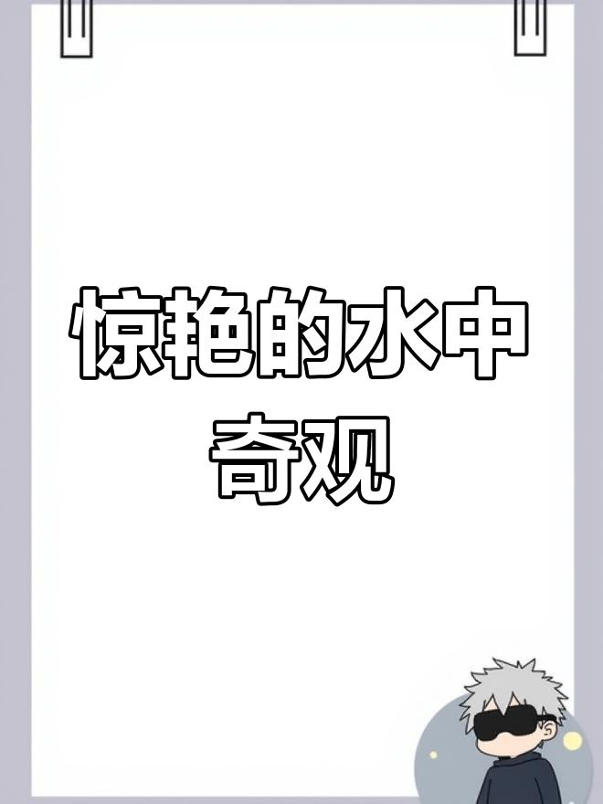 手机入水,鱼群现身,水质清澈令人惊叹!