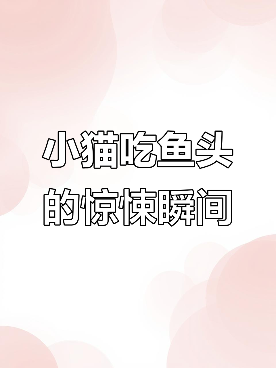 小猫误入桃花源，结果只吃了个鱼头，表情震惊！
