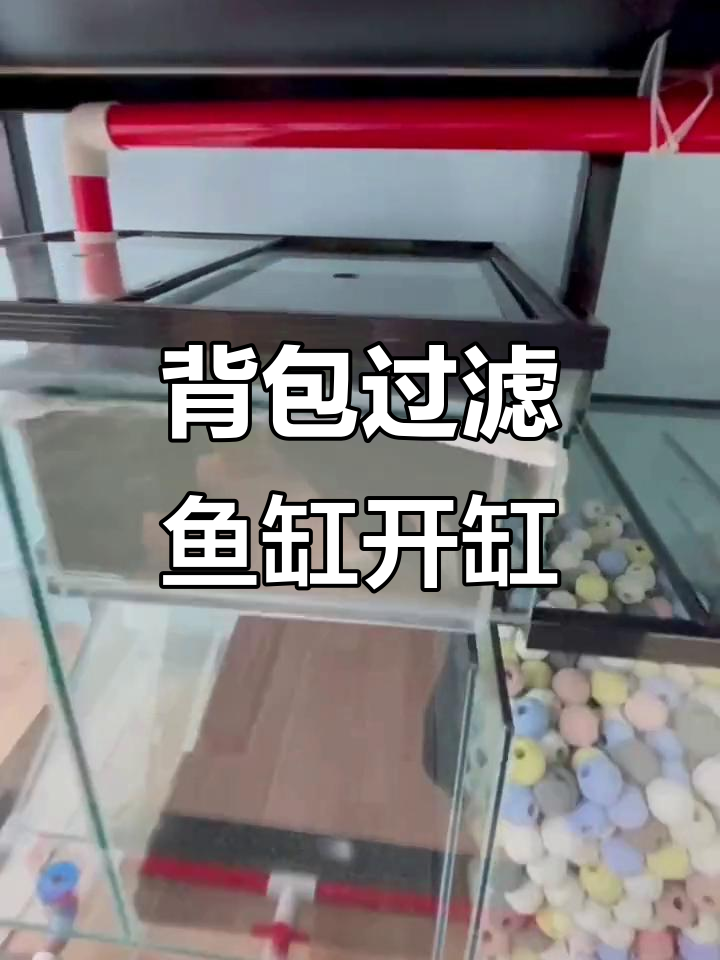 第一次尝试背包过滤鱼缸，开缸过程全解析