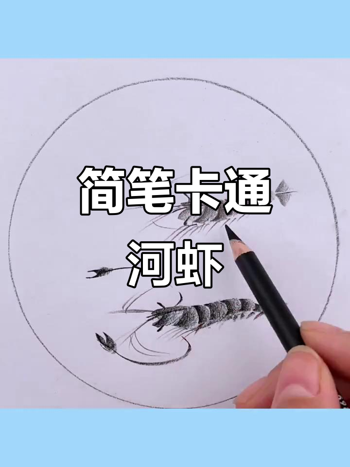轻松几笔画出可爱河虾,简单又好玩!