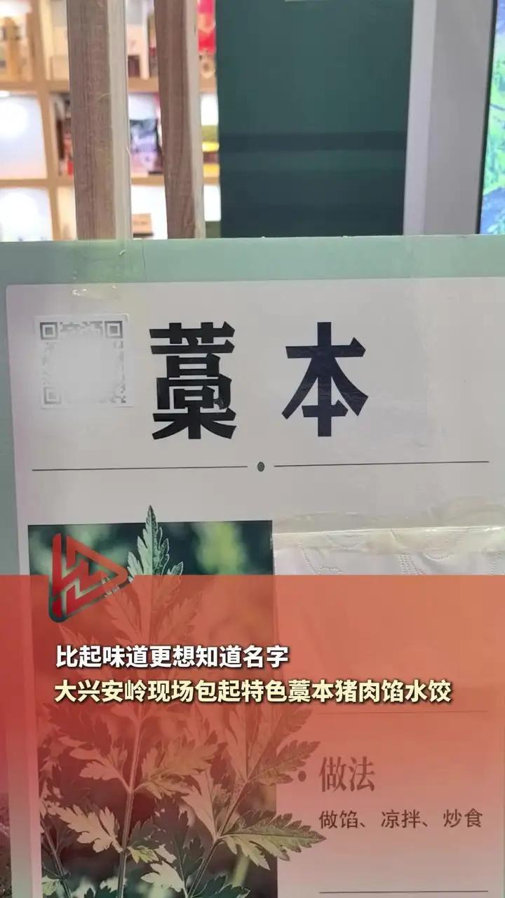 #第十届中俄博览会 比起味道更想知道名字,大兴安岭现场包起特色藁本猪肉馅水饺
